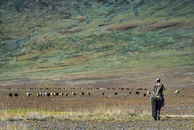 Mongolian and Eastern Siberian Adventure