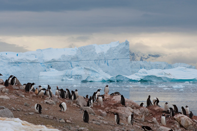 Antarctica Adventure, Motorcycle Tour in South America, Day 14