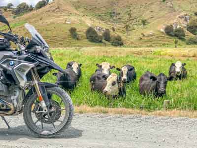 New Zealand Off-Road Motorcycle Tour, Day 1