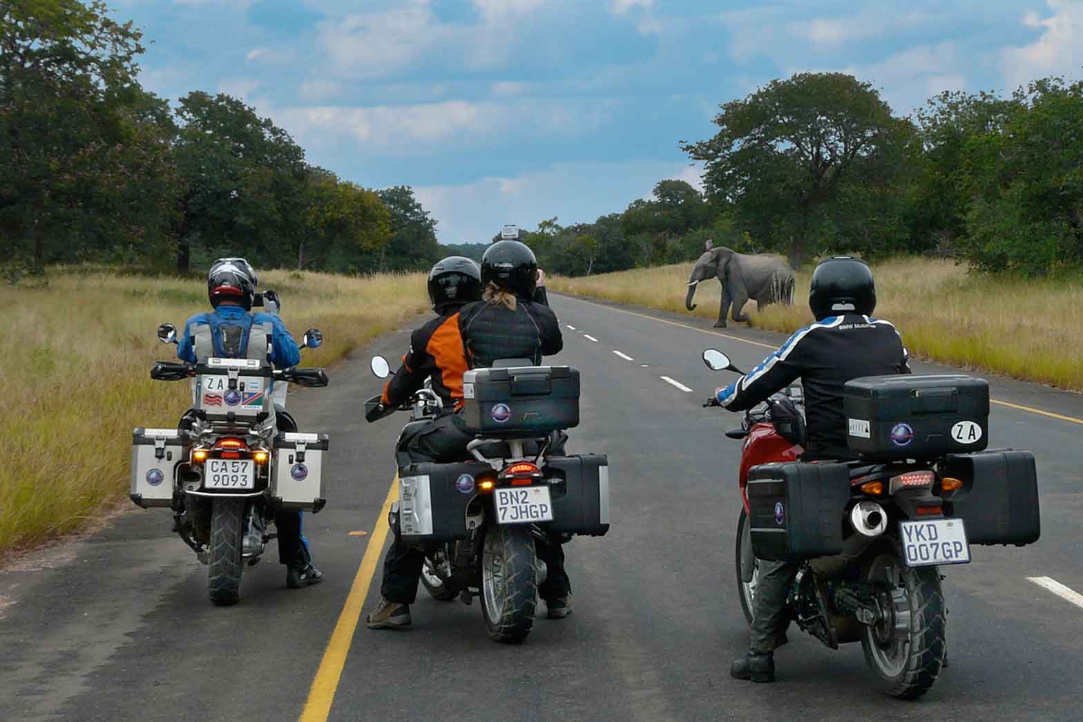 Elephant Crossing, Call of the Wild