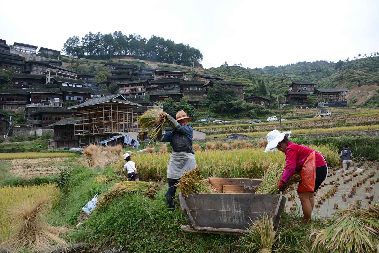 Local farmers in China