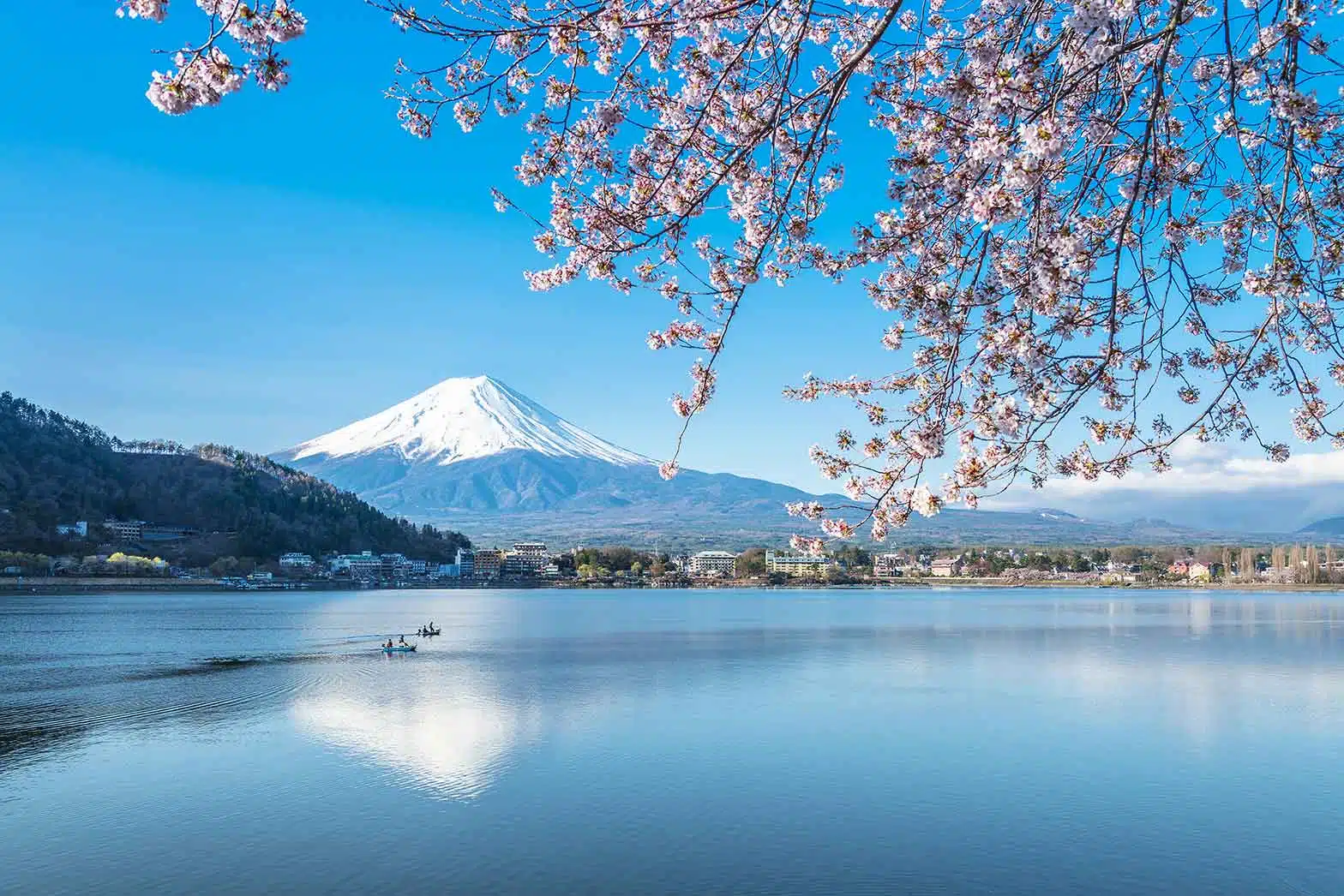 Mount Fuji, Japan Cherry Blossoms Motorcycle Tour in Japan