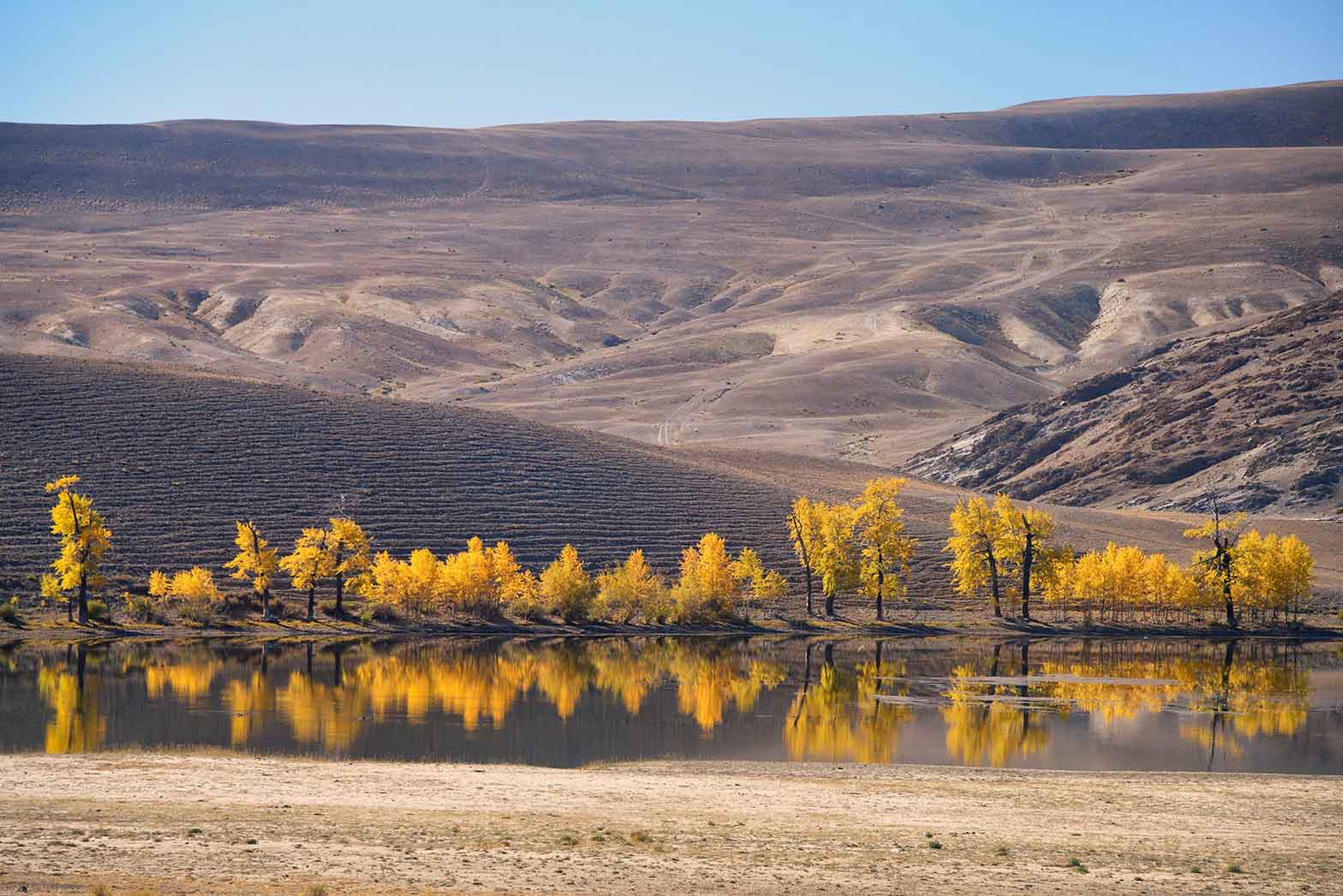 Siberian landscape