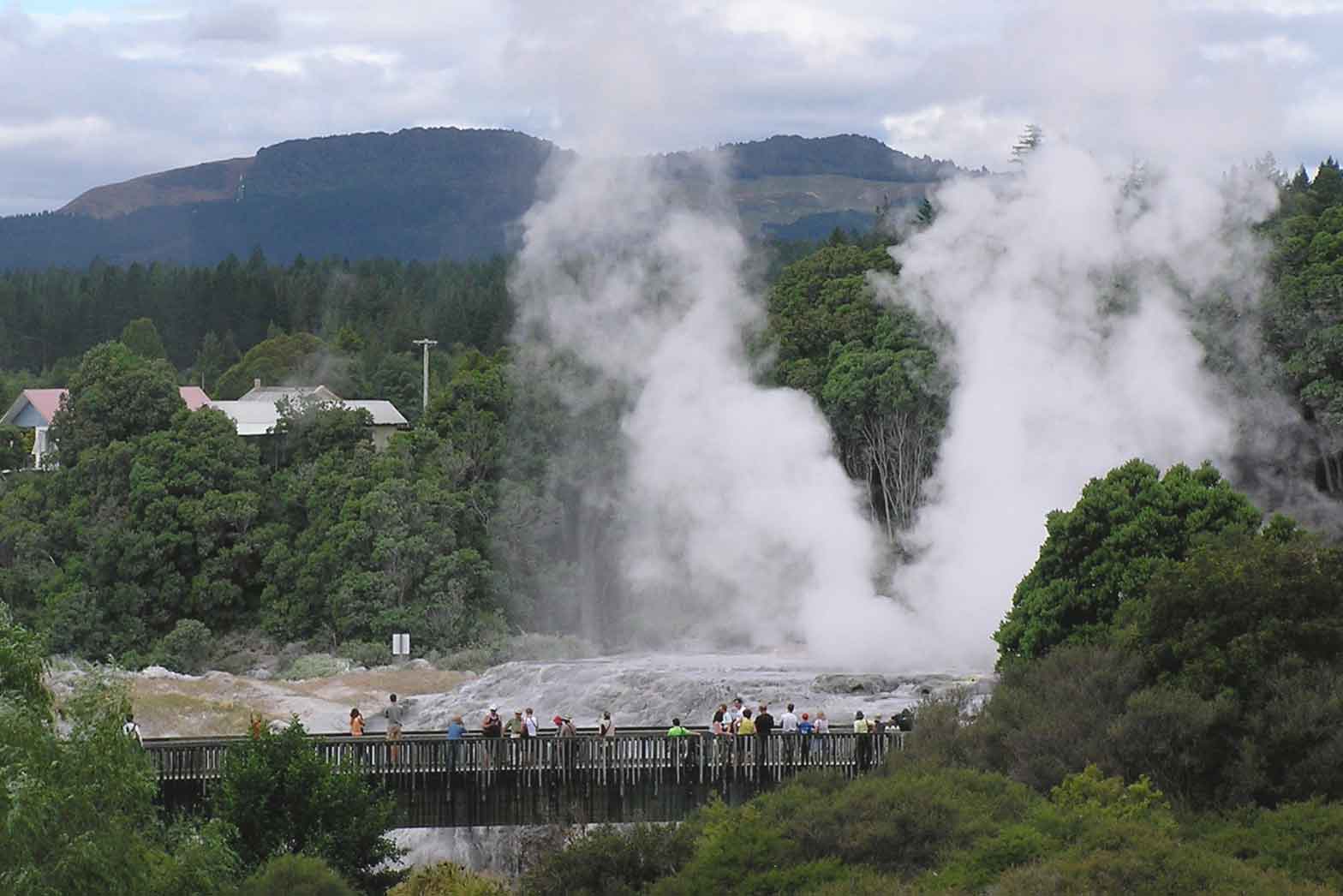 The geysers at Rotorua