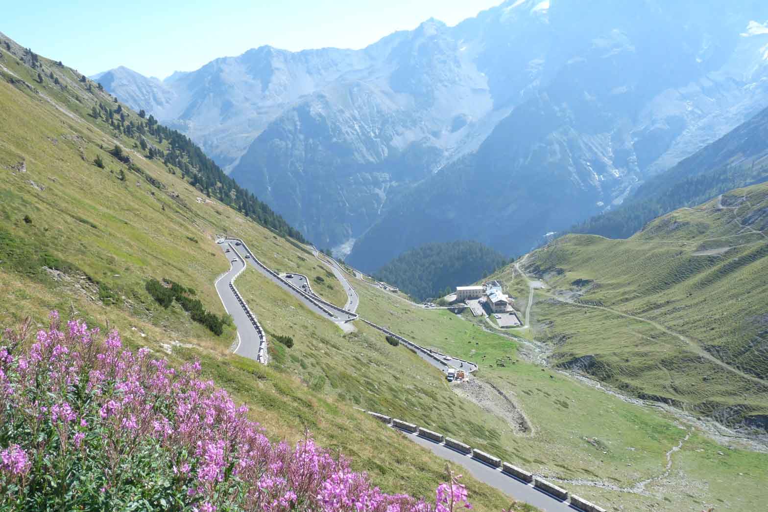 The Stelvio Pass panorama