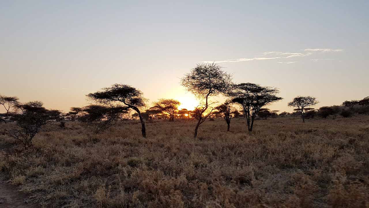 Heart of Africa, Day 11, Serengeti, Motorcycle Tour by Ayres Adventures