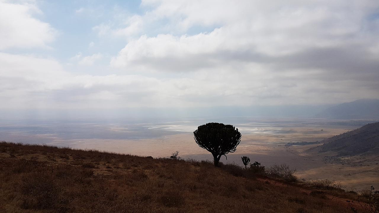 Heart of Africa, Day 12, Serengeti, Motorcycle Tour by Ayres Adventures