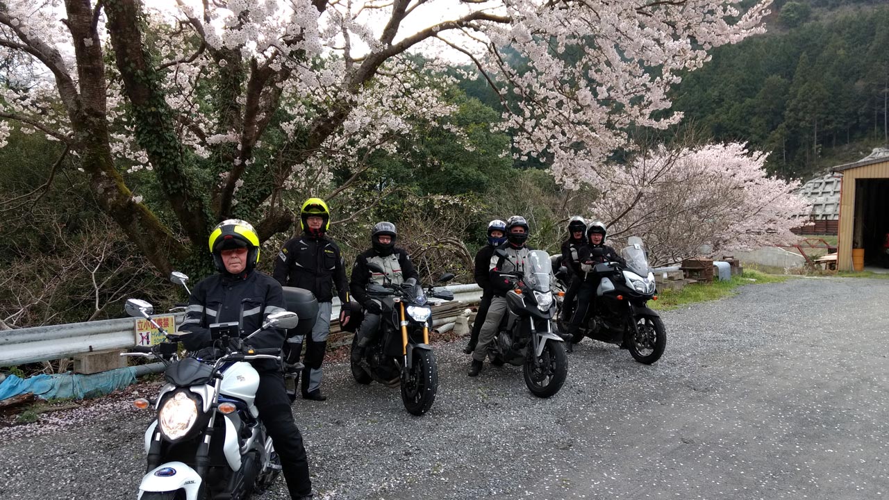 Japan Cherry Blossoms, Motorcycle Tour in Japan, Day 2, First Riding Day