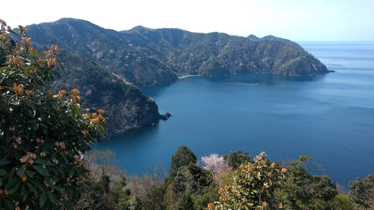 Japan Cherry Blossoms, Motorcycle Tour in Japan, Day eight -from Takeno to Awara