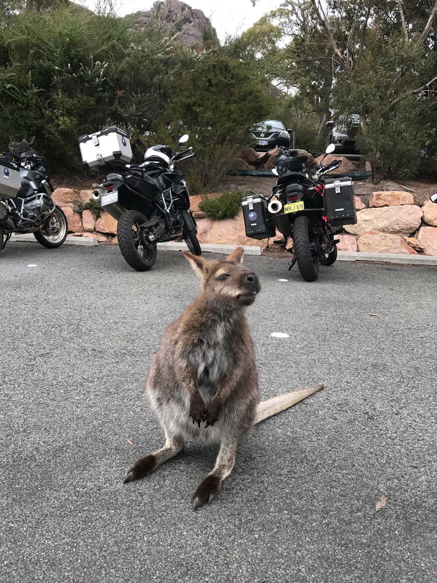 Australia Tasmania 2017, Motorcycle Tour in Australia, Days 5 and 6 - St Helens to Hobart and free day in Hobart 