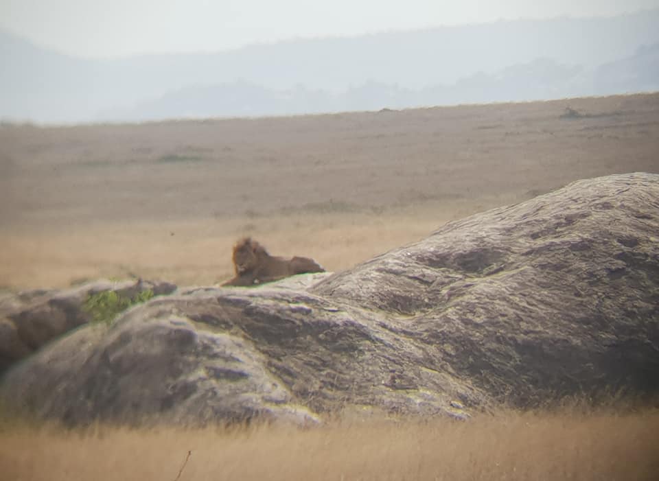 Motorcycle Tour in Africa 2018 by Ayres Adventures, Day 10 - Free day in Serengeti