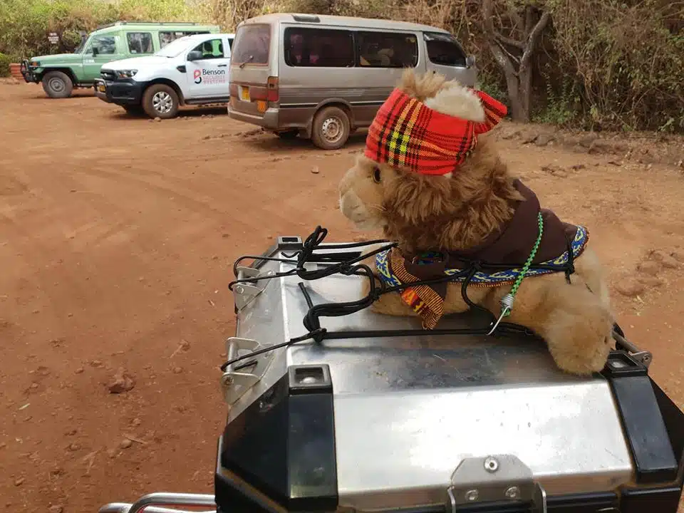 Motorcycle Tour in Africa 2018 by Ayres Adventures, Day 11 - Second free day in Serengeti