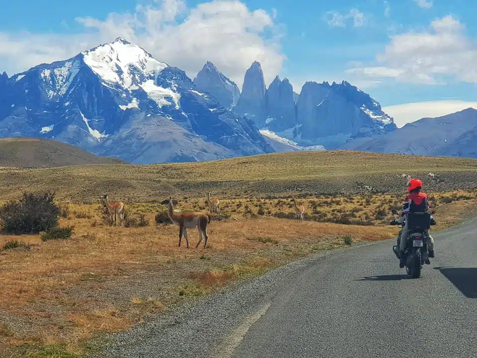 Day 8 -  El Calafate to Torres del Paine