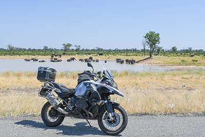 Call of the Wild Tour, Day 5